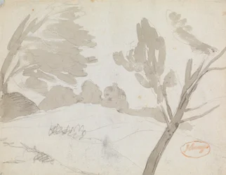 Paysage